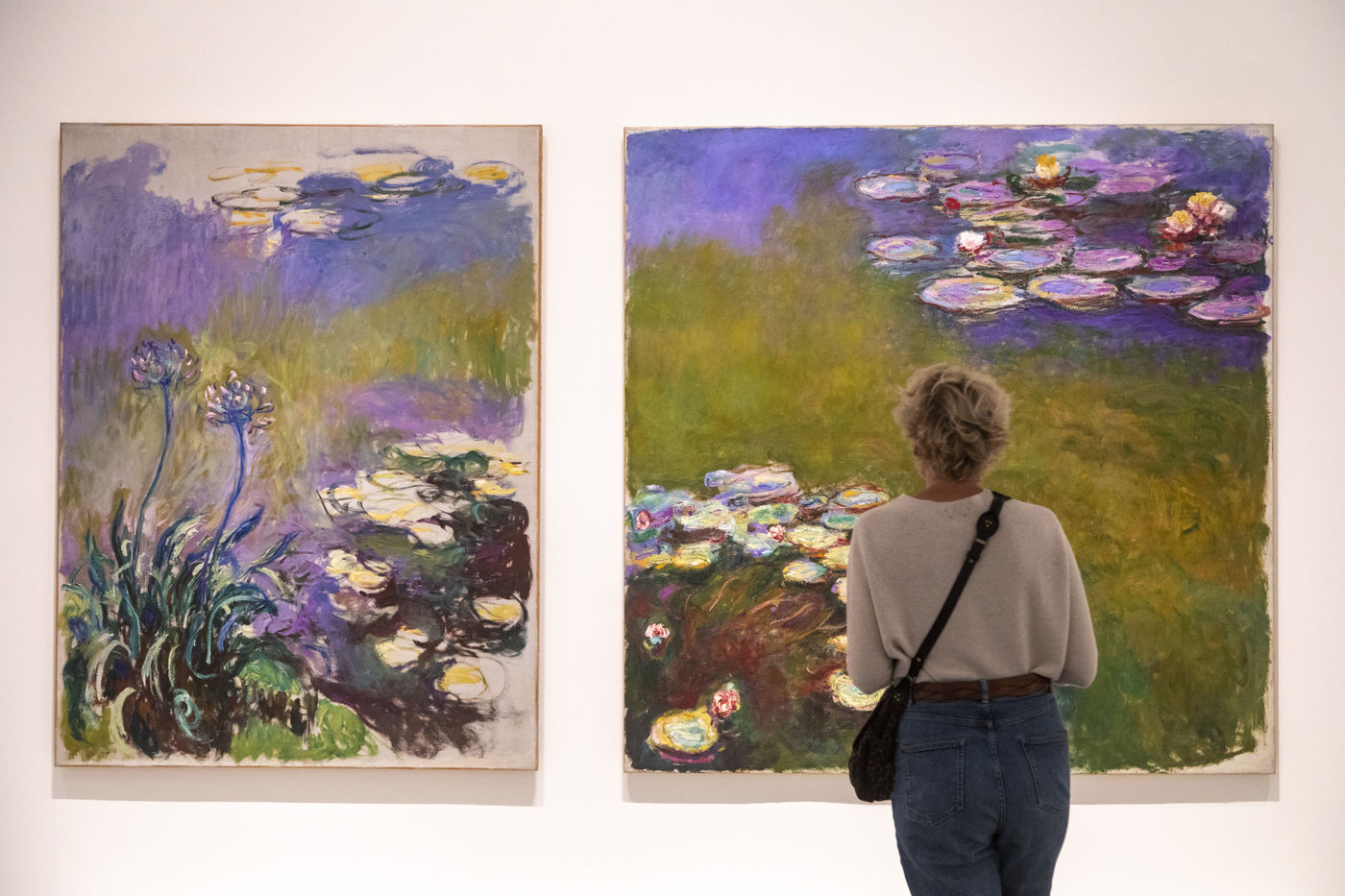 EXPO  Monet - Mitchell at the Fondation Louis Vuitton