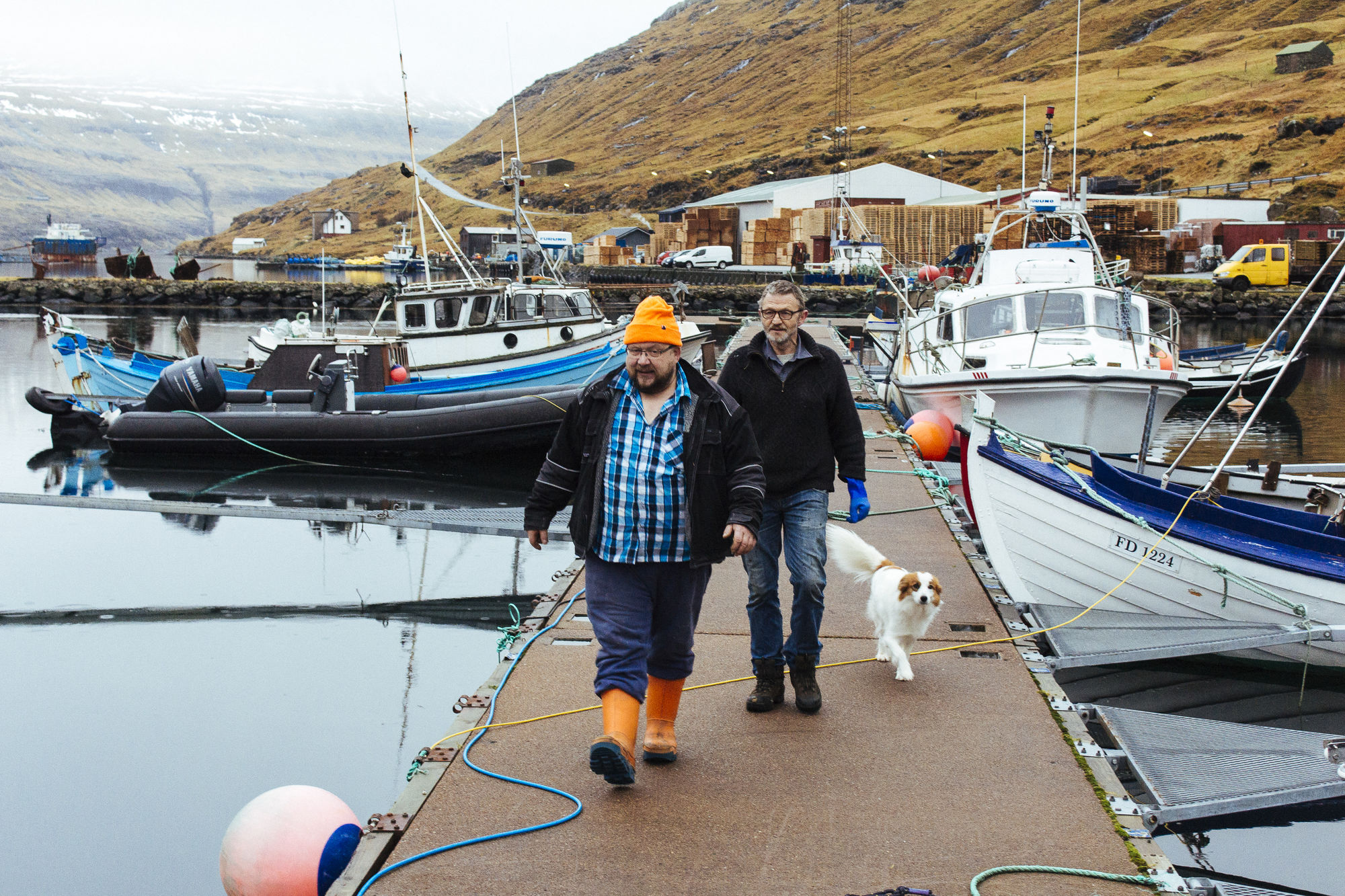 Rendez Vous Sur Faroe Et Cherchez Hammond